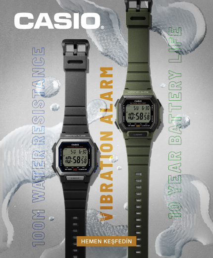 Casio W-738
