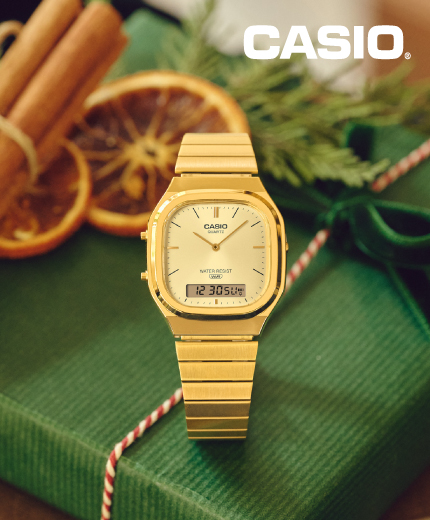Casio Yeni Yıl AQ-240
